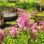 Hobart: Full-Day Bonorong Wildlife Sanctuary & Richmond Tour - A Detailed Look at the Experience