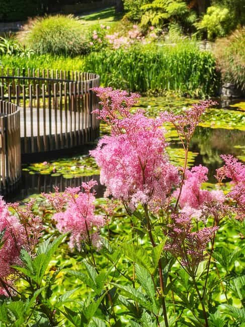 Hobart: Full-Day Bonorong Wildlife Sanctuary & Richmond Tour - A Detailed Look at the Experience