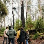 Hobart: Hastings Cave, Tahune Airwalk and Huon Tasting Trail - Exploring Tasmania’s Deep South: What to Expect
