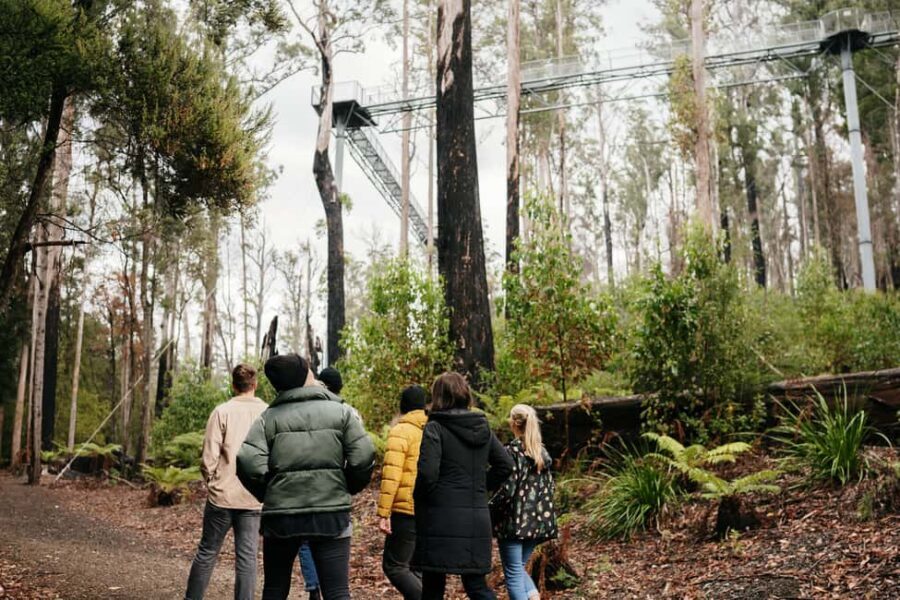 Hobart: Hastings Cave, Tahune Airwalk and Huon Tasting Trail - Exploring Tasmania’s Deep South: What to Expect