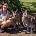 Hobart: Mt Field National Park & Wildlife Shore Excursion - Who Will Love This Tour?