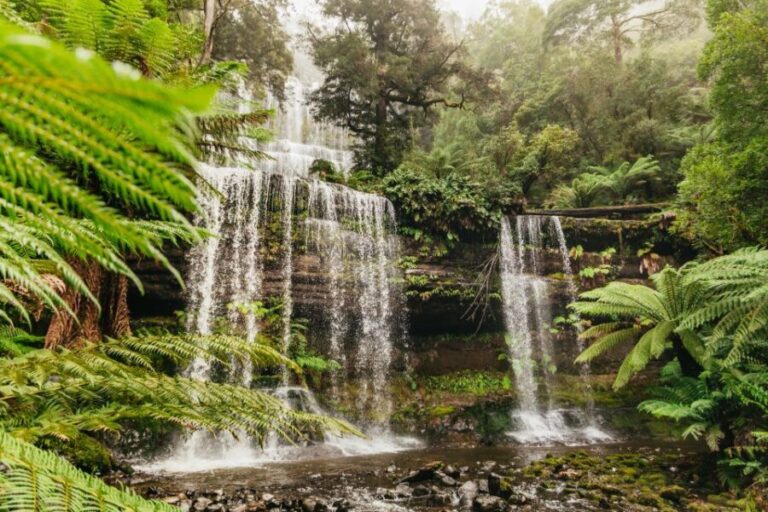 Hobart: Mt Wellington, Mt Field, Bonorong and Richmond Trip - A Closer Look at the Itinerary