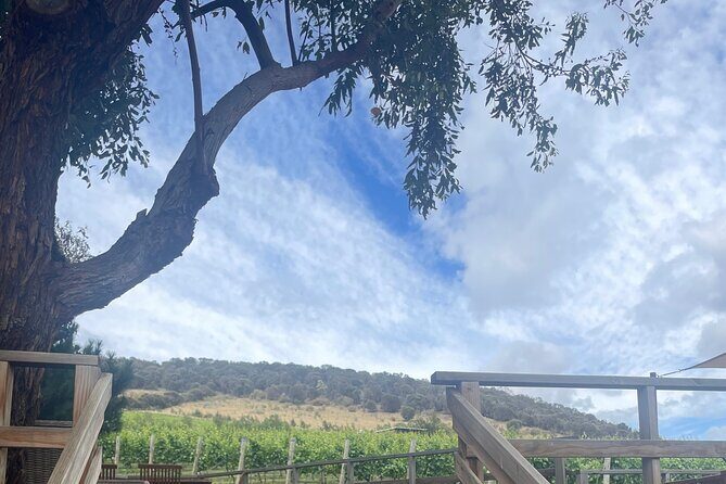 Hobart Shore Excursion Aussie Wildlife and Sighseeing Shared Tour - Final Thoughts