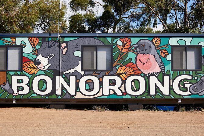 Hobart Shore Excursion: Bonorong Bus - Who Would Love This Tour?