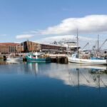 Hobart Shore Excursion: Hobart Attractions Bus - The Sum Up: Who Is This Tour Best For?