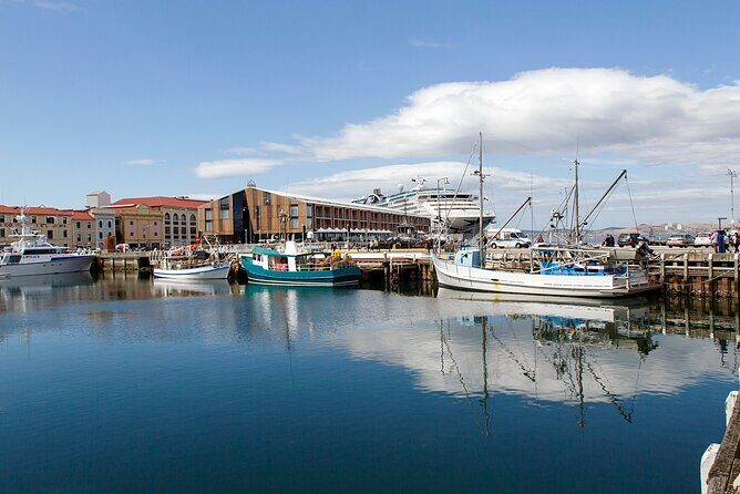 Hobart Shore Excursion: Hobart Attractions Bus - The Sum Up: Who Is This Tour Best For?