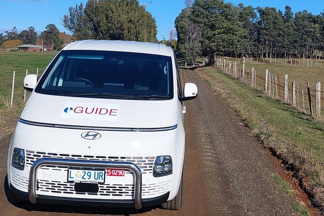 Hobart Shore Excursion Private Tour - Exploring Tasmania at your own pace: A detailed review