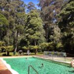 Hobart: Tahune Airwalk & Hastings Caves - Active Day Tour - Authentic Experiences You’ll Remember