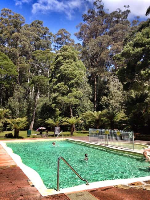 Hobart: Tahune Airwalk & Hastings Caves - Active Day Tour - Authentic Experiences You’ll Remember