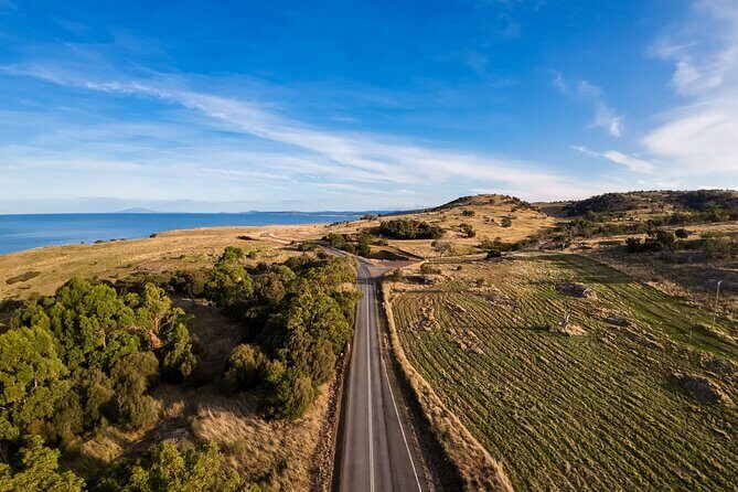 Hobart to Launceston via Wineglass Bay - Active one-way Day Tour - Final Thoughts: Who Is This Tour Best For?