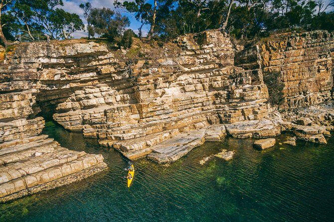 Hobart's Cliffs, Caves and Beaches Kayak Tour - Why This Tour Offers Great Value