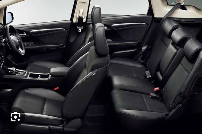 Hobbiton and Waitomo Caves Arrive in Comfort and Style - Why This Tour is Worth It