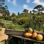 Hobbiton Day Tour from Rotorua with lunch at Hobbiton - Frequently Asked Questions