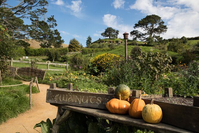 Hobbiton Day Tour from Rotorua with lunch at Hobbiton - Frequently Asked Questions