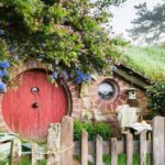 Hobbiton Movie Set Walking Tour from Shires Rest - A Deep Dive into the Hobbiton Experience