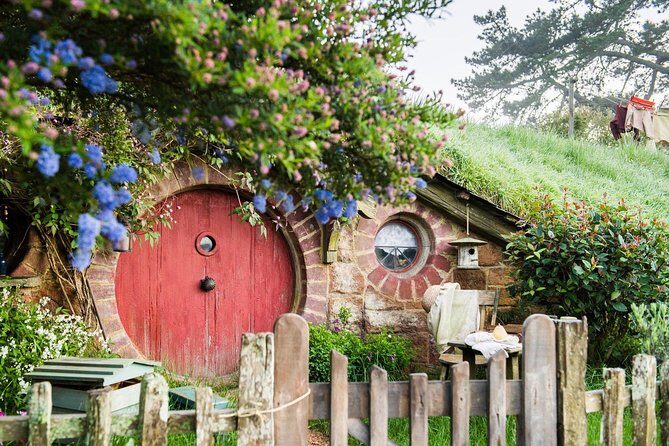 Hobbiton Movie Set Walking Tour from Shires Rest - A Deep Dive into the Hobbiton Experience