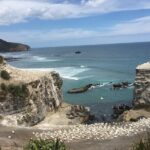 Hobbiton & Waitomo Caves Exclusive Luxury Day Tour From Auckland - What’s Included and What to Consider