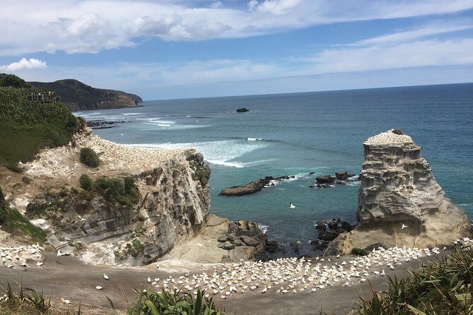 Hobbiton & Waitomo Caves Exclusive Luxury Day Tour From Auckland - What’s Included and What to Consider