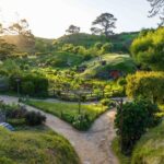 Hobbiton & Waitomo Caves Guided Day Trip from Auckland incl lunch - The Value of This Tour: More Than Just Sightseeing