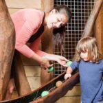 Hobbledown Heath One-Day Entry Ticket - Authentic Feedback from Visitors