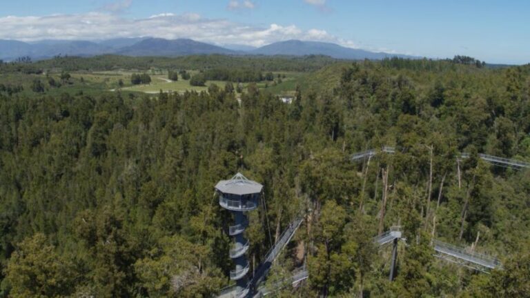 Hokitika: West Coast Tree Top Tower Zip Line and Walk - A Detailed Look at the Experience