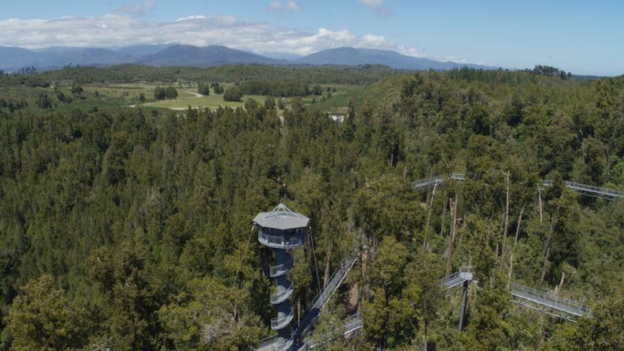 Hokitika: West Coast Tree Top Tower Zip Line and Walk - A Detailed Look at the Experience