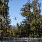 Hokitika: West Coast Treetop Walkway Entrance Ticket - Hokitika: West Coast Treetop Walkway Entrance Ticket – A Detailed Look