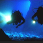 Hol Chan Marine Park night dive - What to Expect During the Tour