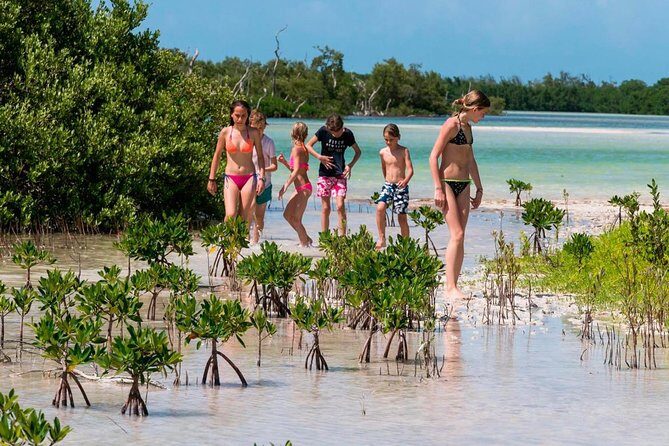 Holbox and Passion Island Full-Day Tour with Cenote, Transportation and Lunch - Frequently Asked Questions