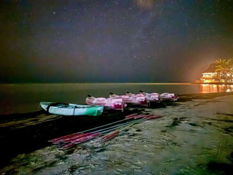 Holbox: Bioluminescence by Kayak and Stargazing. - A Deep Dive into the Experience