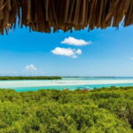 Holbox Discovery: Experience the Authentic Essence, Adventure, Taste and Relaxation - The True Value of This Experience