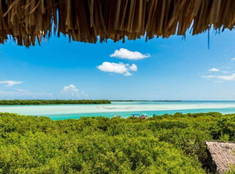 Holbox Discovery: Experience the Authentic Essence, Adventure, Taste and Relaxation - The True Value of This Experience