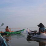 Holbox: Guided Sunrise/Sunset Kayak Tour by Mangrove Reserve - Detailed Itinerary Breakdown