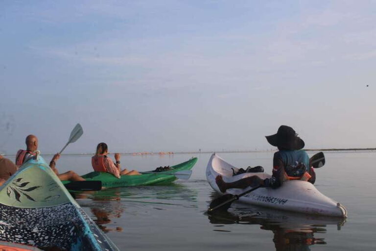 Holbox: Guided Sunrise/Sunset Kayak Tour by Mangrove Reserve - Detailed Itinerary Breakdown