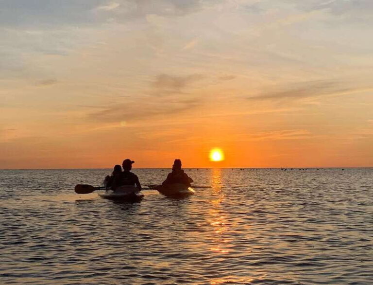 Holbox: Mangrove Sunset Kayak Tour - Final thoughts