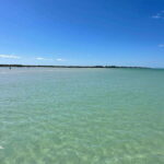 Holbox: Punta Mosquitos, Yalahau, & Pasión Island Boat Tour - Authentic Insights from Reviews