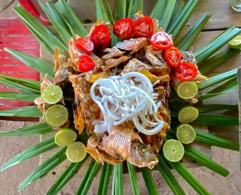 Holbox: Snorkeling, Fishing, and Ceviche Tour - Analyzing the Value