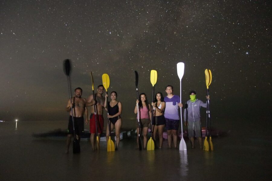Holbox: Stars and Bioluminescent Marine Life Kayaking Tour - Why Is This Tour Valuable?