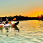 Holbox: Sunrise & Mangrove Kayak Tour - Authentic Reviews: What Others Say