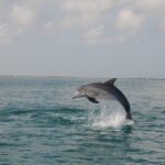 Holbox: Three Islands Tour - Key Points