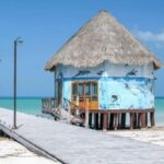 Holbox: Tour of Holbox Island, Isla Pasión, and Punta Mosquito. - What Travelers Say