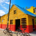 Holbox Tour with Ferry transportation and lunch included - Practical Tips for Making the Most of Your Trip
