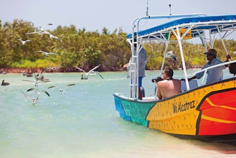 Holbox: Traditional Fishing Tour with Ceviche Tasting - Final Thoughts