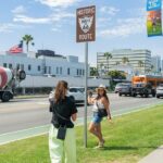 Hollywood, Beverly Hills & Celebrity Homes Tour by Open Air Bus - An In-depth Look at the Tour Experience