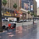 Hollywood, Beverly Hills, Santa Monica, Venice Beach Tour. - Who Should Book This Tour?