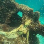 Hollywood Snorkel, Kayak & Paddleboard with Reefs and Sculptures - A Flaw That’s Often Out of the Guides’ Control