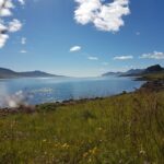 Hólmanes: Guided Nature Walk - Discovering Hólmanes: A Balance of Beauty and Accessibility