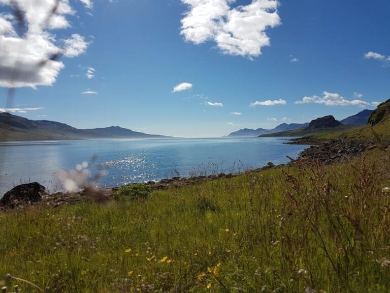 Hólmanes: Guided Nature Walk - Discovering Hólmanes: A Balance of Beauty and Accessibility