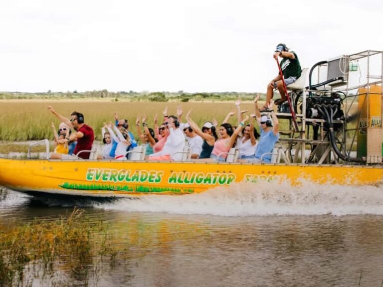 Homestead: Everglades Alligator Farm Entry and Airboat Ride - An In-Depth Look at the Experience