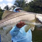 Homosassa Inshore Fishing Charters - Authentic Stories & Traveler Insights